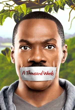 A Thousand Words (2012) Hindi Dual Audio 480p BluRay 300MB - Movierulz
