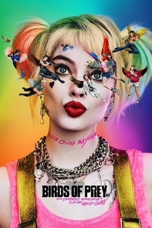 Birds of Prey (2020) Hindi (ORG) Dual Audio 480p HDRip 450MB - Movierulz