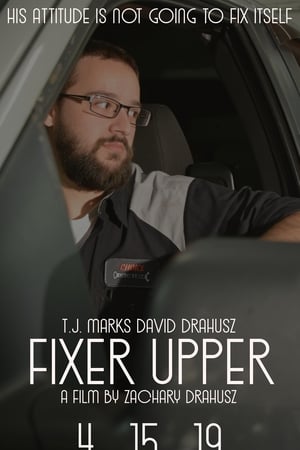 Fixer Upper (2019) Hindi Dual Audio 480p BluRay 300MB - Movierulz