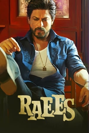 Raees (2017) Full Movie DVDRip 720p [1.0GB] Download - Movierulz