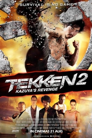 Tekken Kazuyas Revenge 2014 Hindi Dual Audio 480p BluRay 300MB - Movierulz