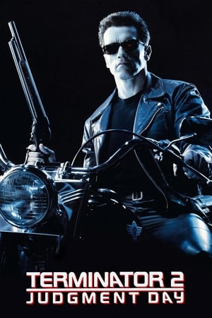 Terminator 2 (1991) Hindi Dual Audio 480p BluRay 500MB - Movierulz