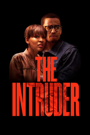The Intruder (2019) Hindi Dual Audio 480p HDRip 350MB - Movierulz