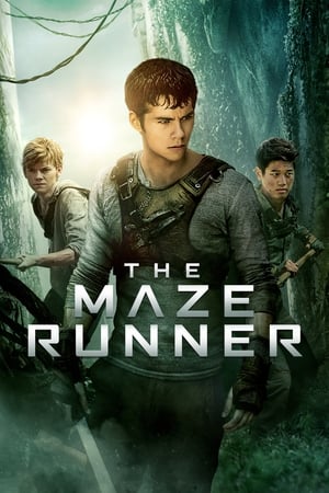 The Maze Runner (2014) Hindi Dual Audio 720p BluRay [1.1GB] - Movierulz