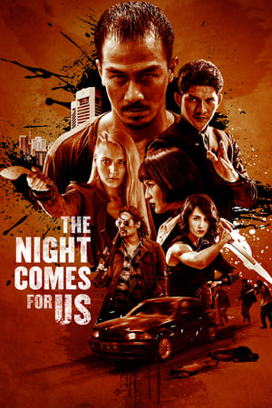 The Night Comes for Us (2018) Hindi Dual Audio 480p Web-DL 450MB - Movierulz