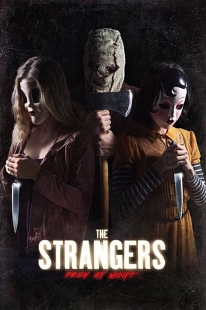 The Strangers: Prey at Night (2018) Hindi Dual Audio 480p BluRay 300MB - Movierulz