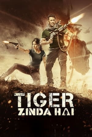 Tiger Zinda Hai 2017 490MB Movie 480p BluRay Download - Movierulz