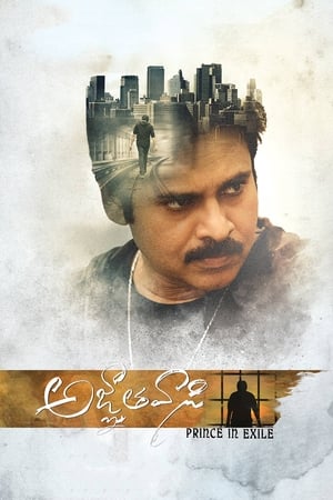 Yevadu 3 (Agnyaathavaasi) 2018 Dual Audio Hindi 480p UnCut HDRip 450MB - Movierulz